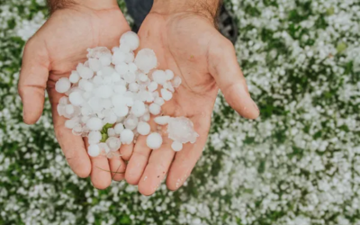 Chuvas de granizo: como cuidar do meu carro?